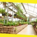 Choosing the Right Garden Center for Your Garden