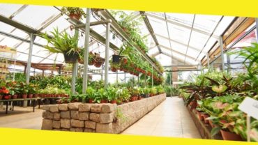 Choosing the Right Garden Center for Your Garden