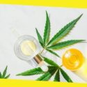 How to Choose CBD Oil?