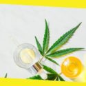 Why Use CBD Oil for Pain Management