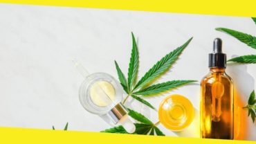 Why Use CBD Oil for Pain Management
