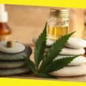 How Can CBD Products Improve Your Health and Immunity