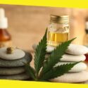 What are the Best CBD Products You Can Try
