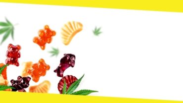 Things to Check Before Buying CBD Gummies