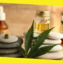 7 Things to Keep in Mind When Shopping for CBD Products Online
