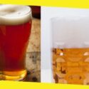 The Differences in Ales and Lagers