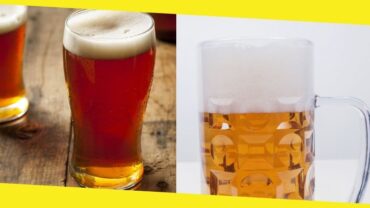 The Differences in Ales and Lagers