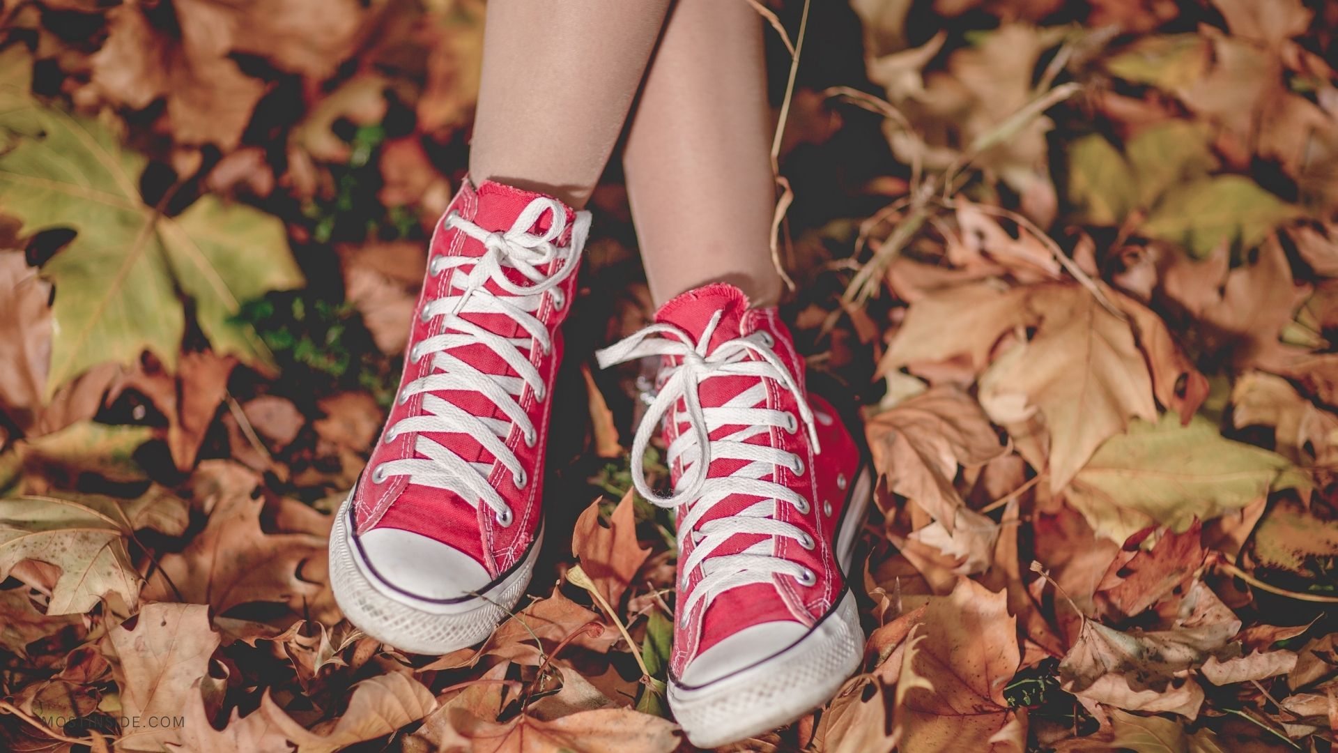 Pair of Red Sneakers