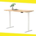 How to Choose the Best Standing Desk For Your Office