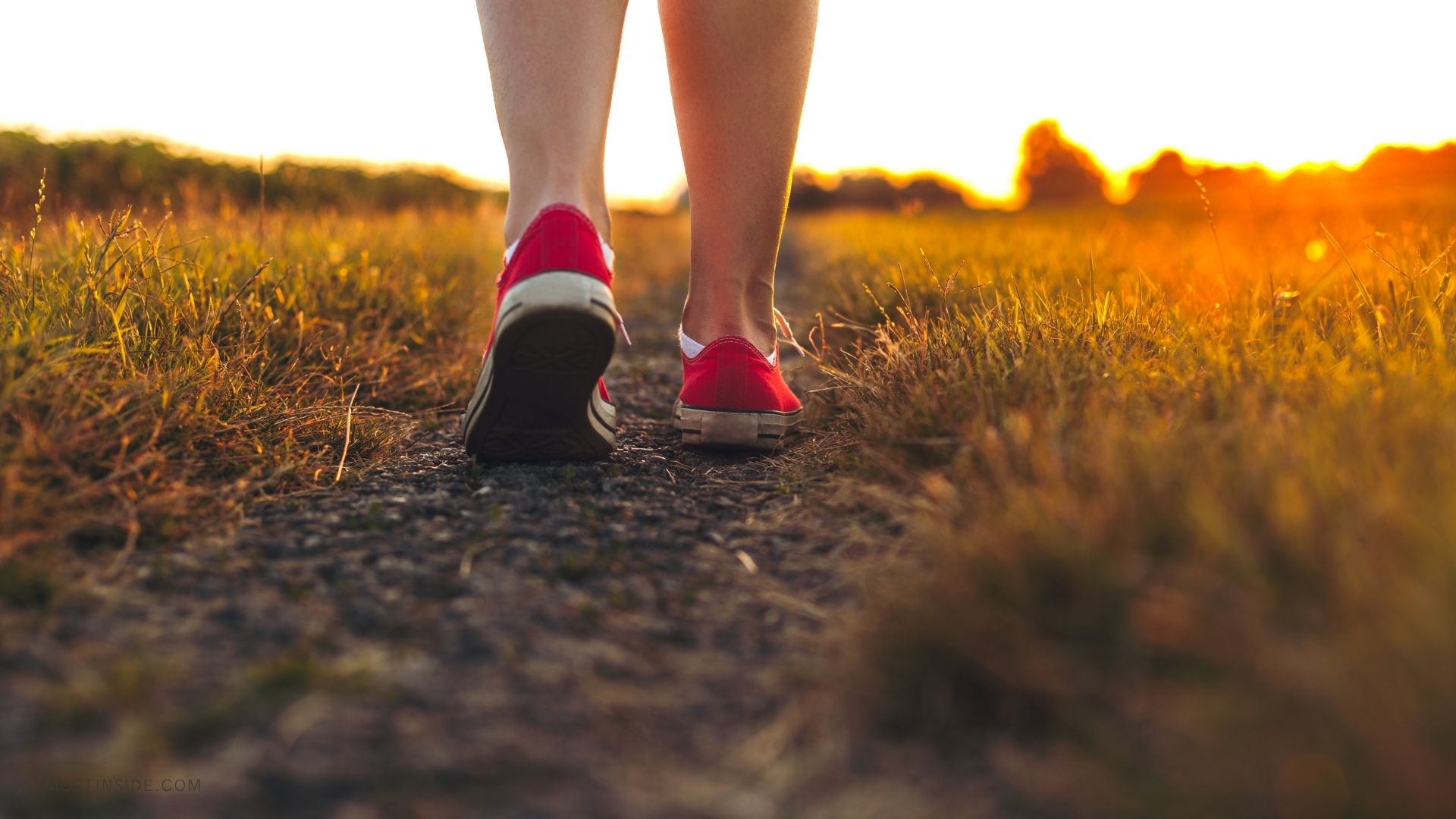 Pair of Red Sneakers