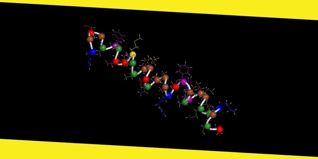 Role of Peptide Hydrogels