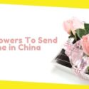 Best Flowers To Send Someone in China