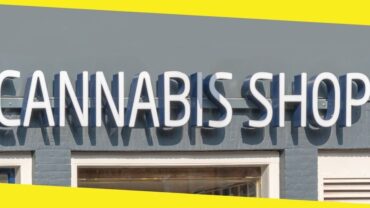 7 Tips on Choosing Online Cannabis Shops for New Users