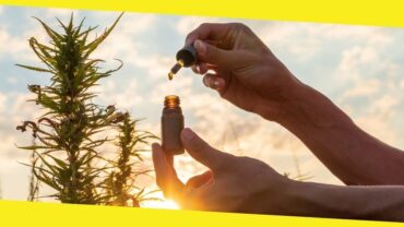 What Are the Benefits of CBD Oil?