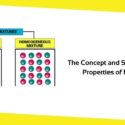 The Concept and Study On the Properties of Mixture