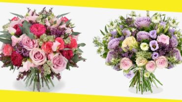 Seasonal Flowers: What Are the Benefits of Using Them? 