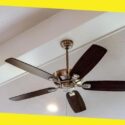 Five Elegant Features For Your Next Ceiling Fan