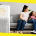 Do Air Purifiers Make a Difference in Treating Allergies?