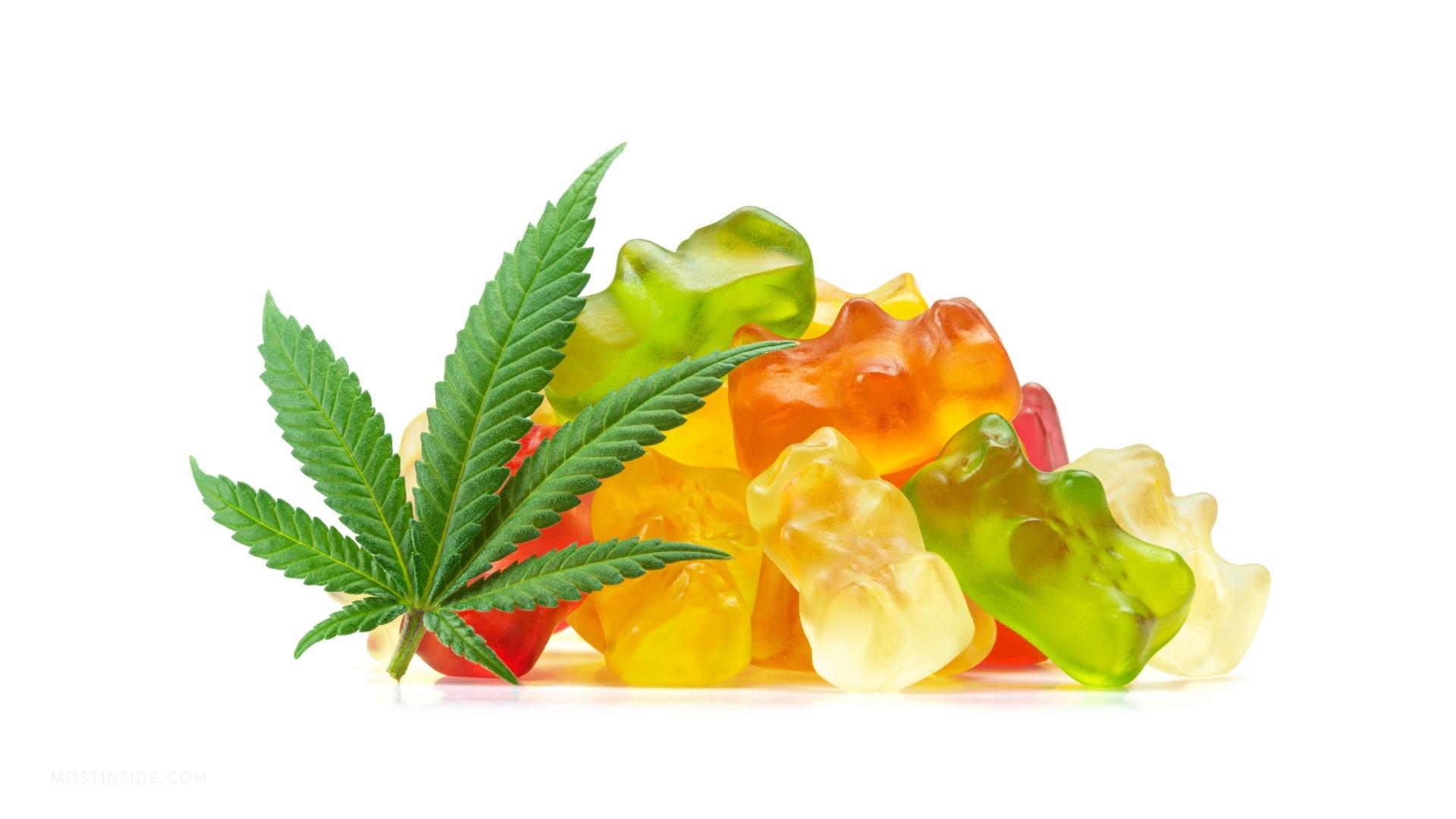 Reasons To Add CBD Edibles To Your Wellness Routine