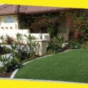 What Are the Benefits of Having a Healthy Lawn?