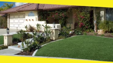 What Are the Benefits of Having a Healthy Lawn?