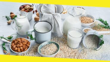 The Best Plant-based Milk: A Complete Guide