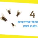 4 Effective Techniques To Keep Flies Away