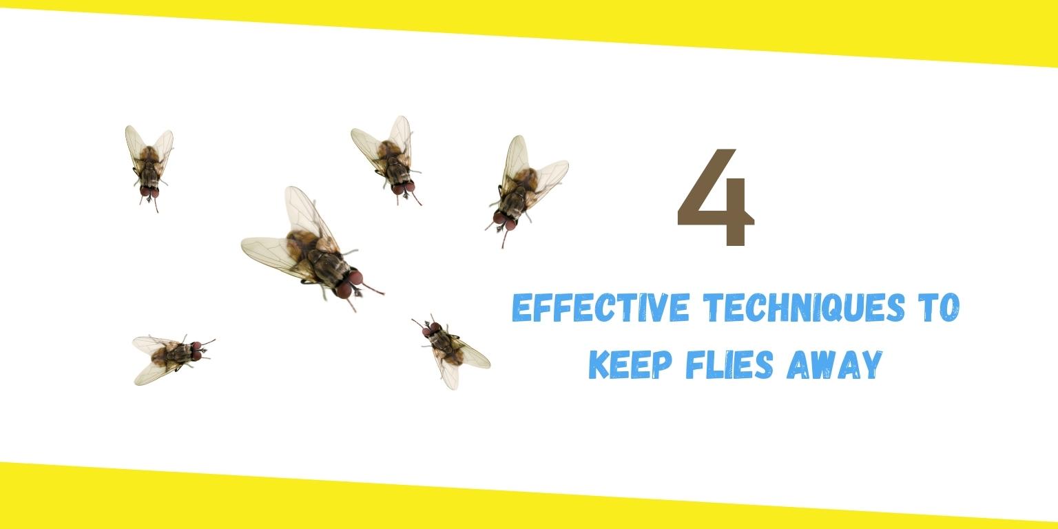Best Techniques To Keep Flies Away