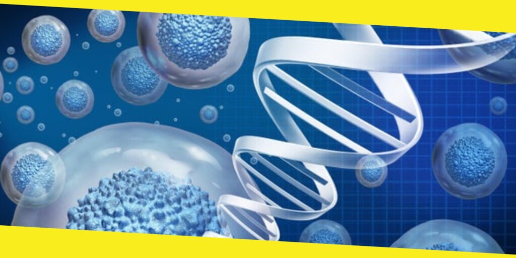 Types of Regenerative Therapies