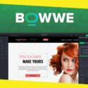 How BOWWE Can Help You Save Time and Money