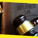 The Basic Concepts of Canadian Employment Law