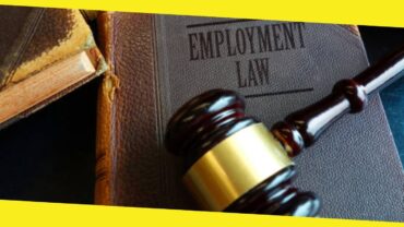 The Basic Concepts of Canadian Employment Law