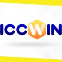 New But Already Known Bookmaker For Betting On Sports With Lots Of Bonuses – ICCWIN India | Review