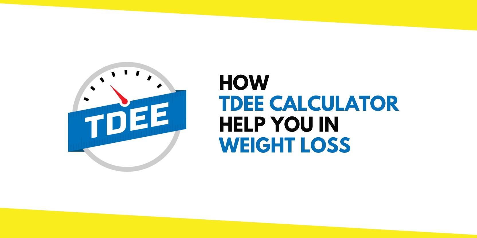 TDEE Calculator in Weight Loss