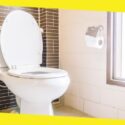 How to Fix a Leaky Toilet Flapper