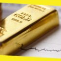 Patriot Gold Review – Why Invest in Gold?