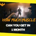 How Much Muscle You Can Gain Monthly With Regular Workouts?