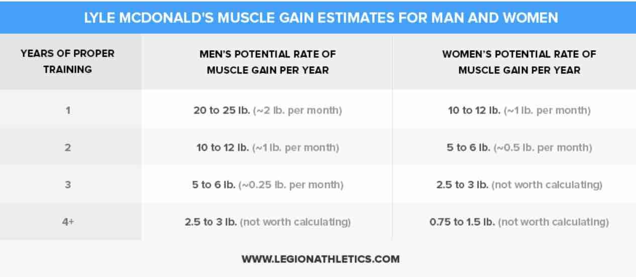 Part of the reason men build more muscle than women