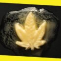 Unleashing the Power of Cannabis-Infused Butter: The Science Behind Its Psychoactive Effects