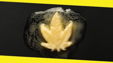 Unleashing the Power of Cannabis-Infused Butter: The Science Behind Its Psychoactive Effects