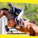 Navigating the Course: Alec Lawler’s Proven Strategies for Show Jumping Success