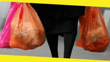 Plastic Shopping Bags: A Deep Dive into Their Use and Impact