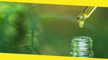CBDfx CBD Oil: An In-Depth Review and Product Analysis