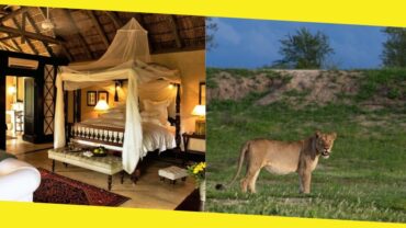 The Top 10 Luxury Lodges in the Greater Kruger Park