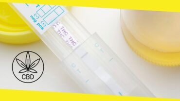 CBD and Drug Tests: How to Pass A Drug Test Even After Taking CBD