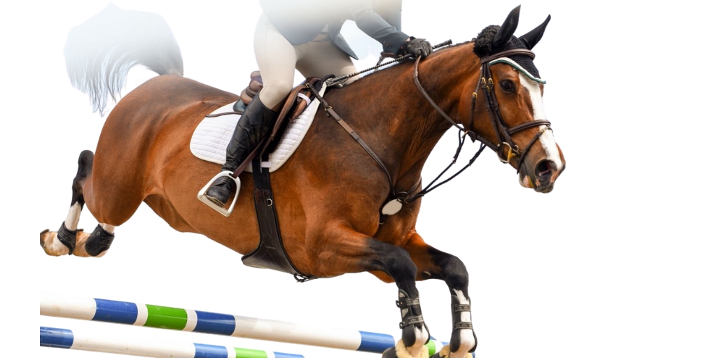 show jumping transparent image