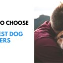 How to Choose The Best Dog Trainers in Huntsville, Alabama