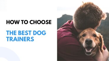 How to Choose The Best Dog Trainers in Huntsville, Alabama