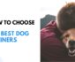 How to Choose The Best Dog Trainers in Huntsville, Alabama