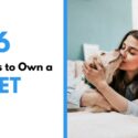 6 Reasons to Own a Pet